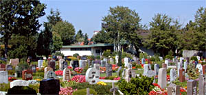 Friedhof Steinbach Ts.