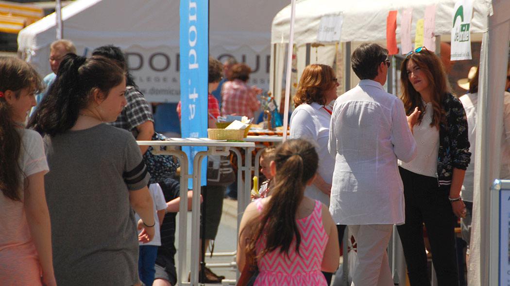 Stadtfest-2016-oek02